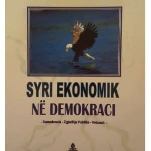 Syri ekonomik në demokraci